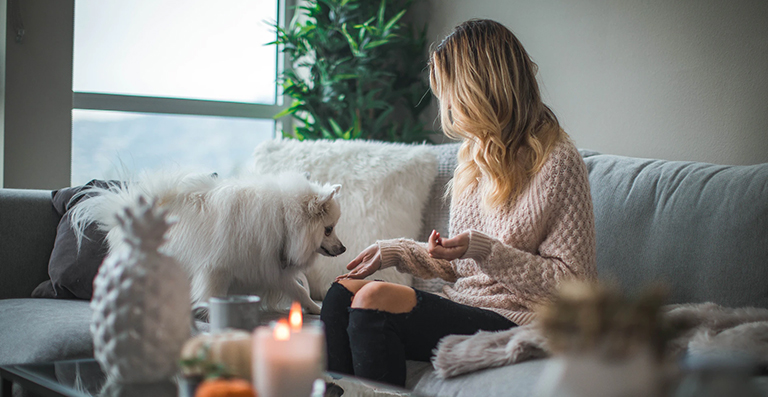 Women sitting on a couch give a white dog a treat.